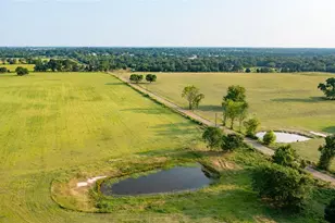 12301 N Holland St, Eustace, TX 75124 - Photo 13