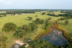 12301 N Holland St, Eustace, TX 75124 - Photo 9