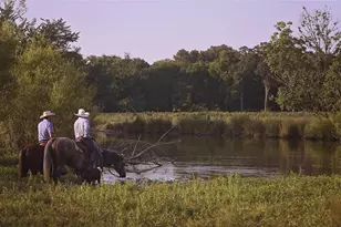 12301 N Holland St, Eustace, TX 75124 - Photo 3