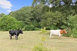 1321 N Fm 1970, Timpson, TX 75975 - Photo 21