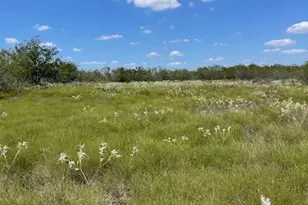 Tbd County Road 3241, Hubbard, TX 76648 - Photo 1