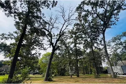 192 1st Oak Drive, Enchanted Oaks, TX 75156 - Photo 11