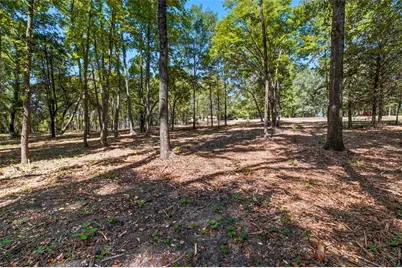 8676 State Highway 19, Edgewood, TX 75117 - Photo 39