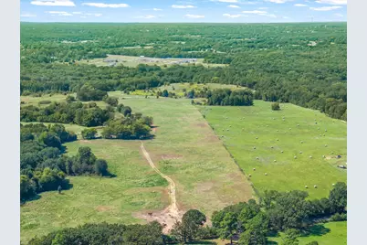 Tbd 34 +/- Vz County Road 1905, Fruitvale, TX 75127 - Photo 3