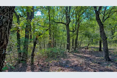 901 Pigg Road, Bowie, TX 76230 - Photo 29