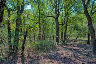 901 Pigg Rd, Bowie, TX 76230 - Photo 29