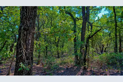 901 Pigg Road, Bowie, TX 76230 - Photo 31