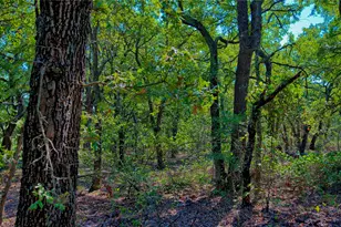 901 Pigg Rd, Bowie, TX 76230 - Photo 31