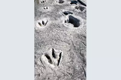 1020 Rose Court, Nemo, TX 76070 - Photo 13