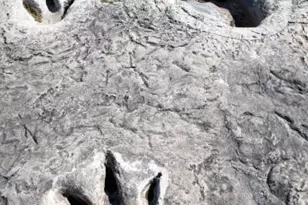 1020 Rose Ct, Nemo, TX 76070 - Photo 13