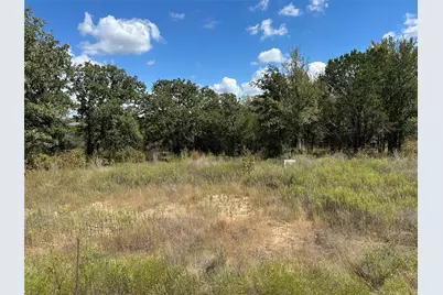 1020 Rose Court, Nemo, TX 76070 - Photo 3