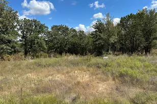 1020 Rose Ct, Nemo, TX 76070 - Photo 3