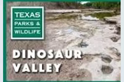 1020 Rose Court, Nemo, TX 76070 - Photo 11