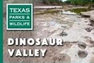 1020 Rose Ct, Nemo, TX 76070 - Photo 11