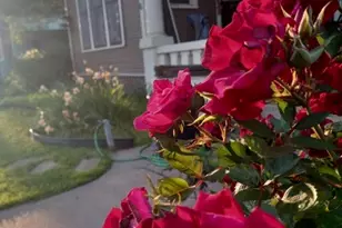 306 W Brin St, Terrell, TX 75160 - Photo 27