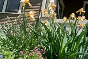 306 W Brin St, Terrell, TX 75160 - Photo 29