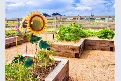 1704 Sparrow Street, Argyle, TX 76226 - Photo 35