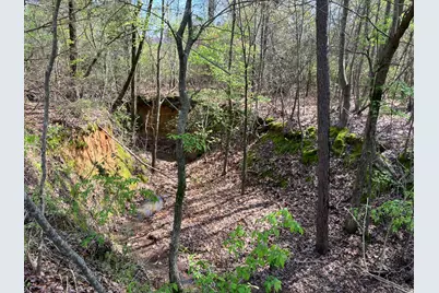 16730 Ridgeline Loop, Winona, TX 75792 - Photo 11