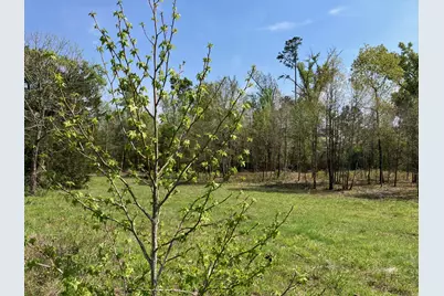 16730 Ridgeline Loop, Winona, TX 75792 - Photo 5