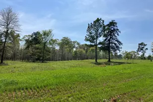 16730 Ridgeline Loop, Winona, TX 75792 - Photo 1