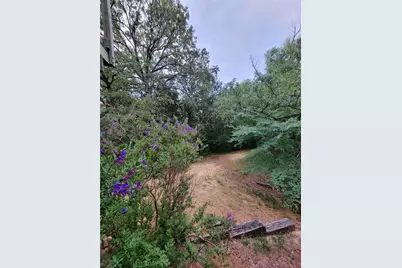 161 Colt Drive, Sadler, TX 76264 - Photo 17