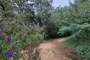 161 Colt Dr, Sadler, TX 76264 - Photo 17