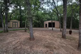 161 Colt Dr, Sadler, TX 76264 - Photo 3