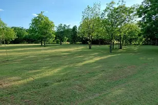 161 Colt Dr, Sadler, TX 76264 - Photo 21