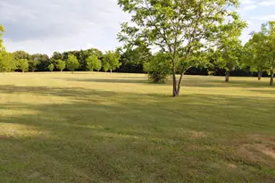 161 Colt Dr, Sadler, TX 76264 - Photo 17