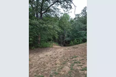 161 Colt Drive, Sadler, TX 76264 - Photo 19