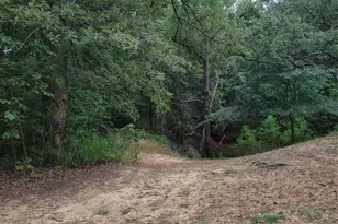 161 Colt Dr, Sadler, TX 76264 - Photo 19