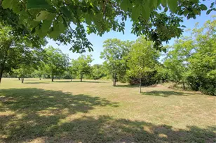 161 Colt Dr, Sadler, TX 76264 - Photo 15