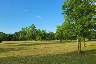 161 Colt Dr, Sadler, TX 76264 - Photo 21