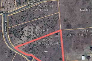 1125 Pheasant Ct, Possum Kingdom Lake, TX 76449 - Photo 1