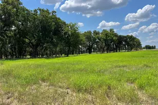 101 Pharris Ct, Weatherford, TX 76087 - Photo 5