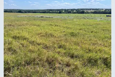 3688 N Fm 1655, Alvord, TX 76225 - Photo 1