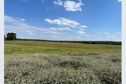 3688 N Fm 1655, Alvord, TX 76225 - Photo 17