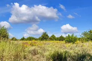 1021 Buffalo Springs Dr, Fort Worth, TX 76140 - Photo 37