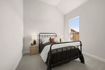 246 Vineyard Lane, Midlothian, TX 76065 - Photo 21