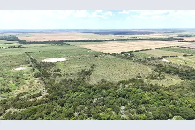 1127 Limestone County Road 607, Groesbeck, TX 76642 - Photo 13