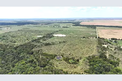 1127 Limestone County Road 607, Groesbeck, TX 76642 - Photo 9