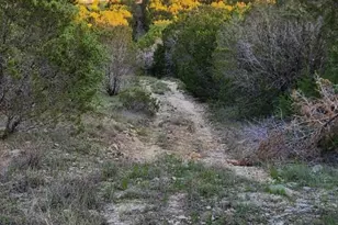 2516 Co Rd 328, Glen Rose, TX 76043 - Photo 11