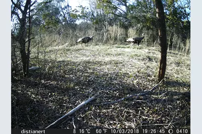 2516 County Road 328, Glen Rose, TX 76043 - Photo 19