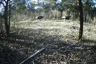 2516 Co Rd 328, Glen Rose, TX 76043 - Photo 19