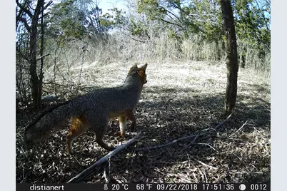 2516 County Road 328, Glen Rose, TX 76043 - Photo 17