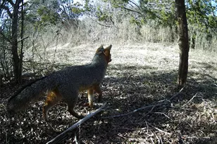 2516 Co Rd 328, Glen Rose, TX 76043 - Photo 17