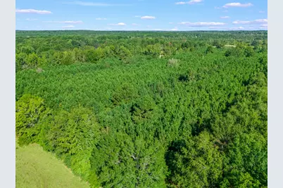 Tbd Cat Road, Gilmer, TX 75644 - Photo 7