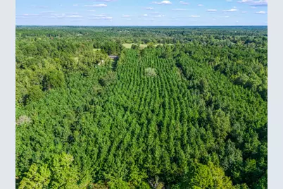 Tbd Cat Road, Gilmer, TX 75644 - Photo 21