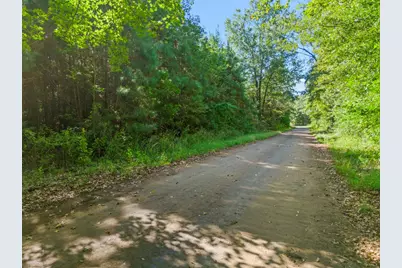 Tbd Cat Road, Gilmer, TX 75644 - Photo 3