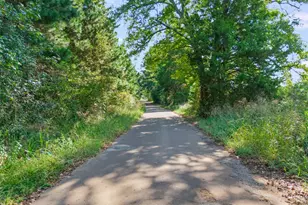 Tbd Cat Rd, Gilmer, TX 75644 - Photo 1